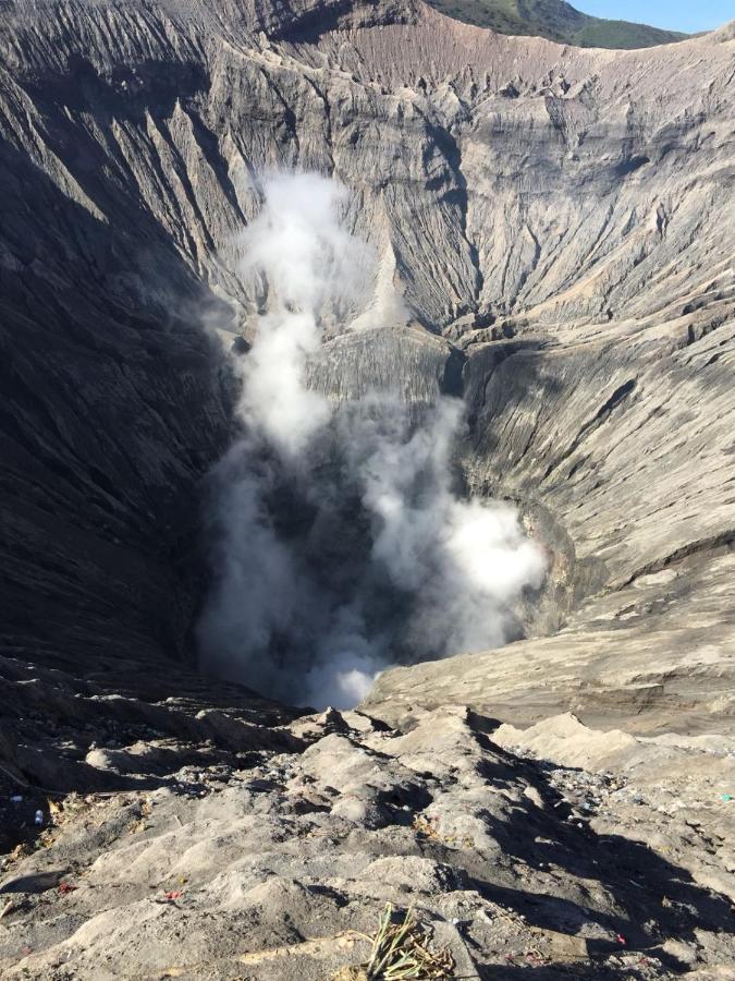 Апартаменты Bromo Tanjung Tosari Экстерьер фото