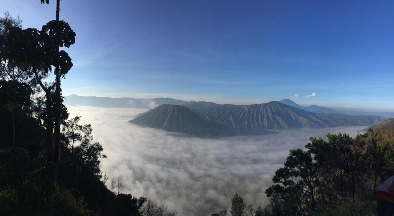 Апартаменты Bromo Tanjung Tosari Экстерьер фото