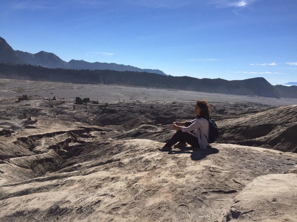 Апартаменты Bromo Tanjung Tosari Экстерьер фото